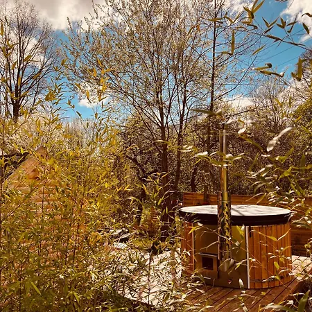 Cabane, Kota Désiré