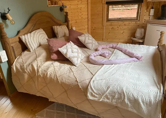 Cabane, Kota Desire Chalet *